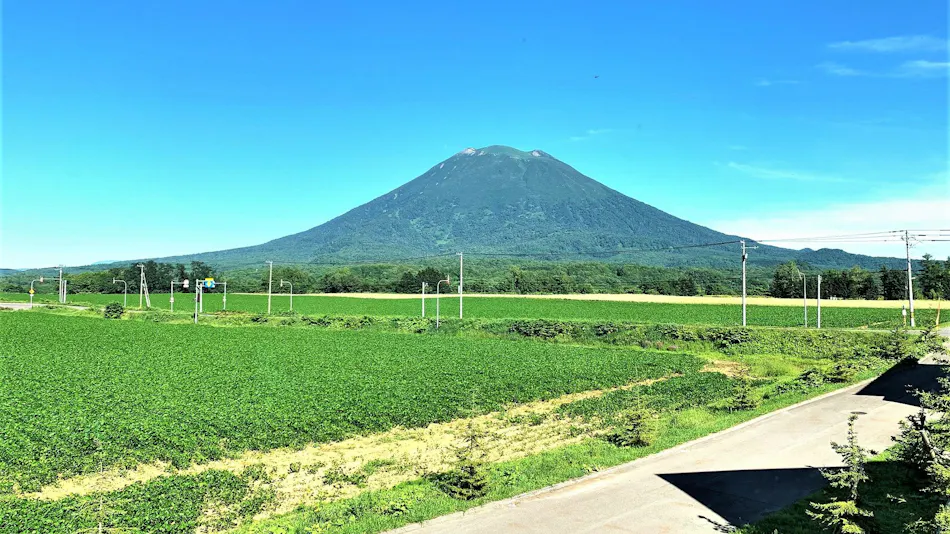 Miru Niseko
