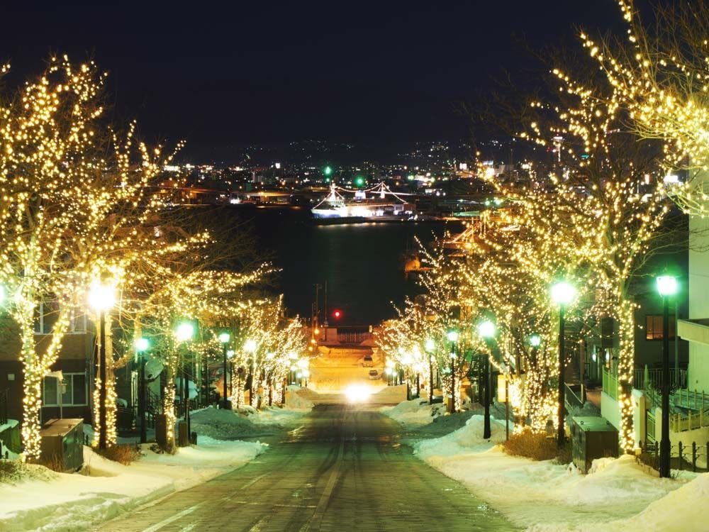 【八幡坂・冬イルミネーション】徒歩で10分