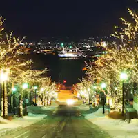 【八幡坂・冬イルミネーション】徒歩で10分