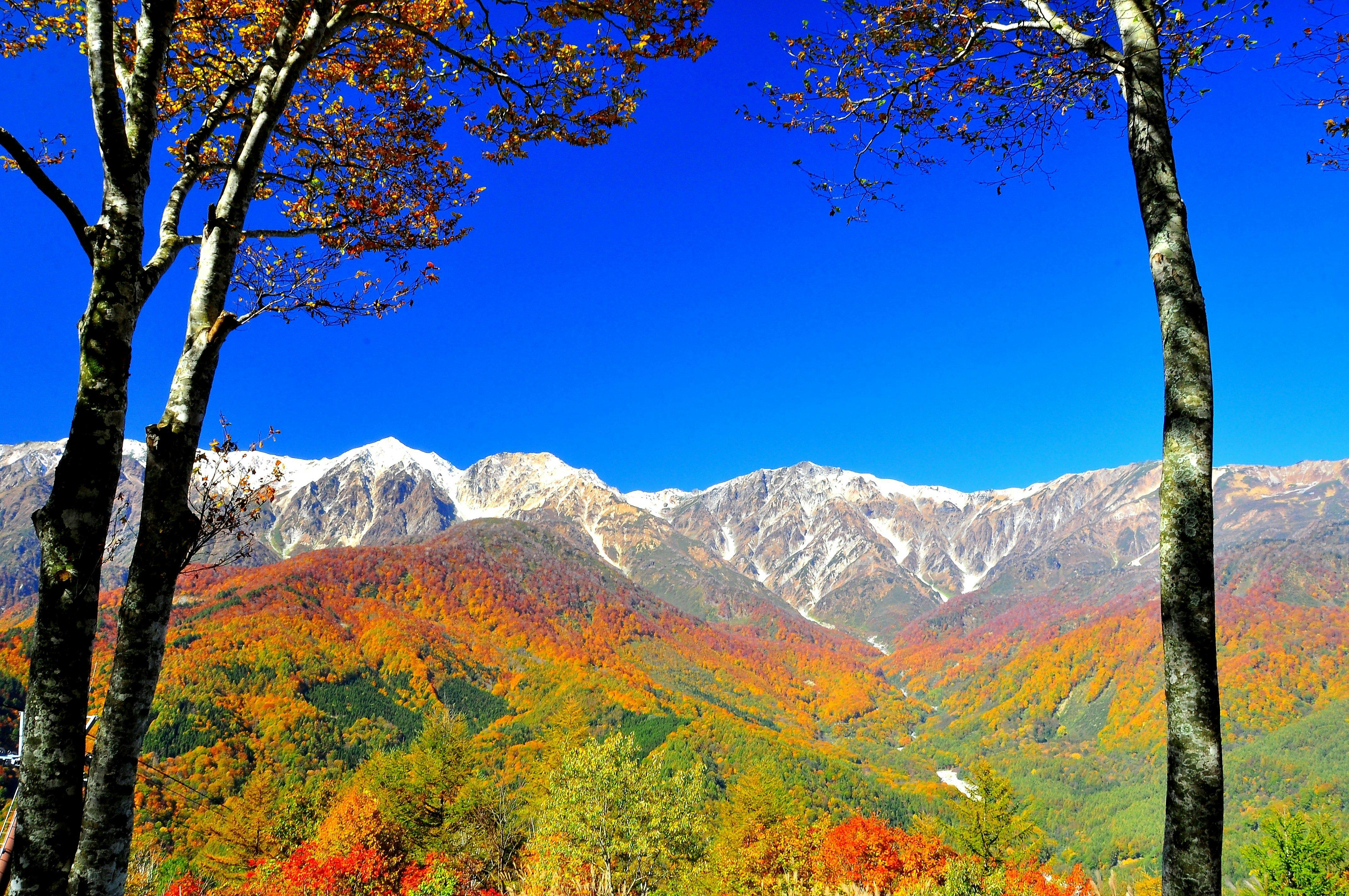 白馬　旅籠丸八