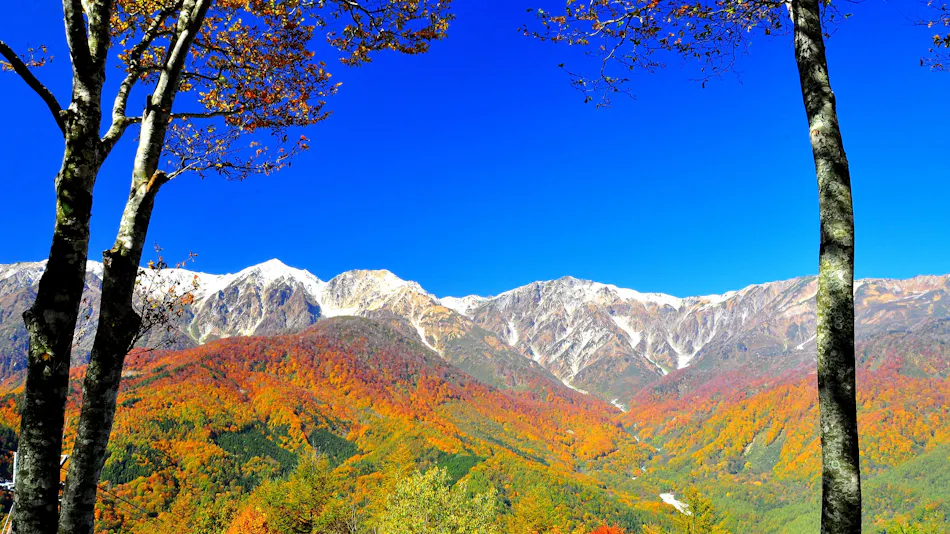 Hakuba Hatago Maruhachi