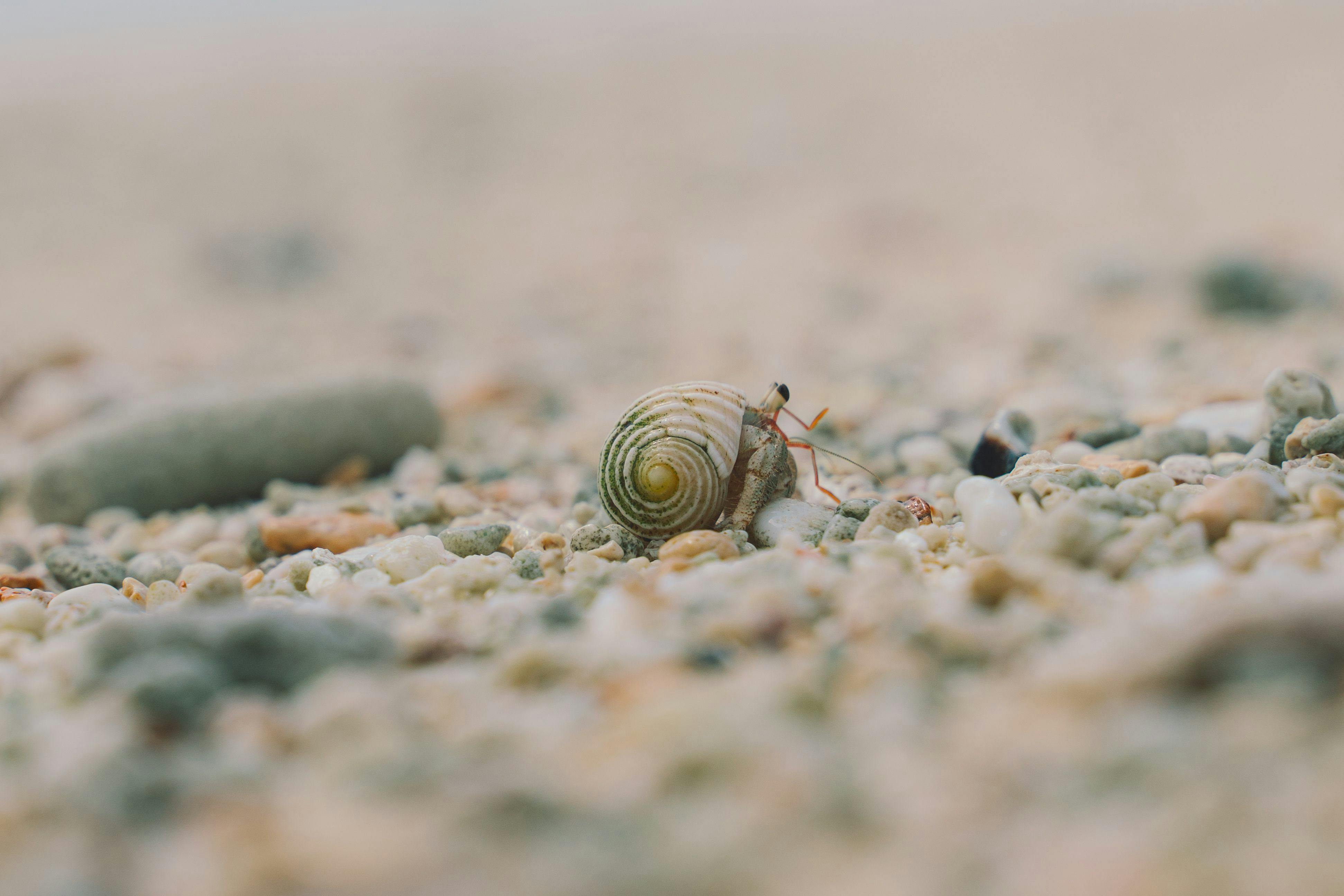 BLANC MIYAKOJIMA（旧RuGu Glamping Resort）