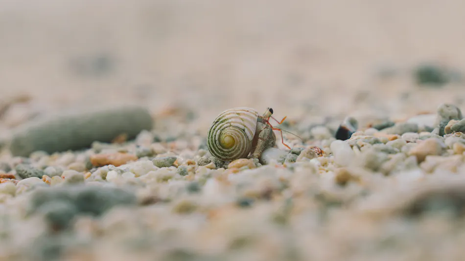 BLANC MIYAKOJIMA