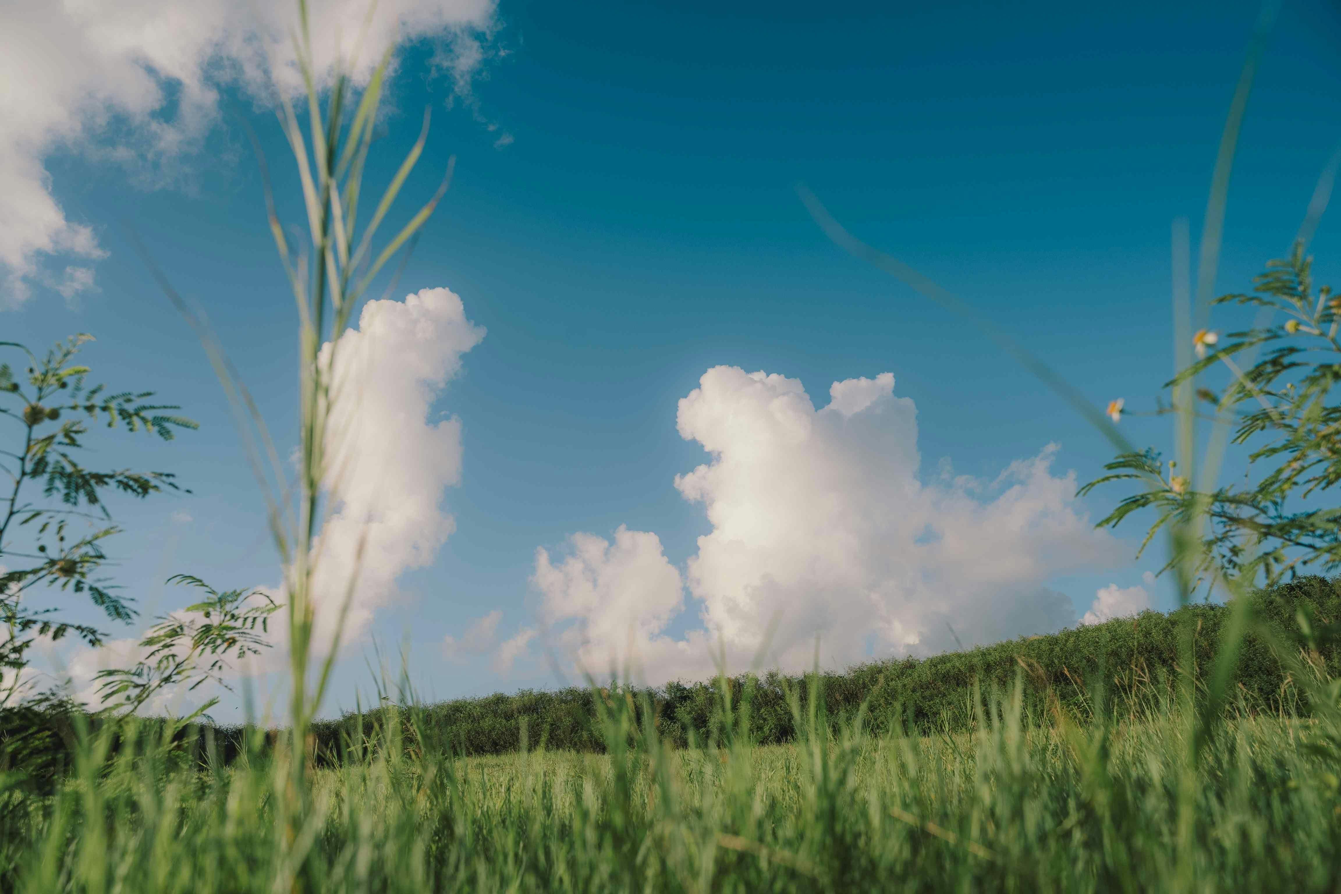BLANC MIYAKOJIMA（旧RuGu Glamping Resort）