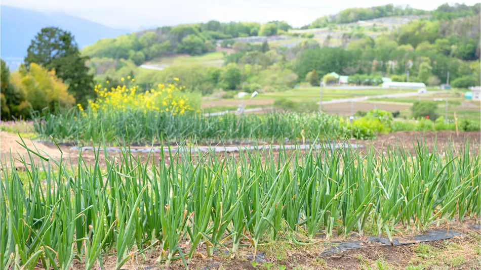 Satoyama Villa DEN