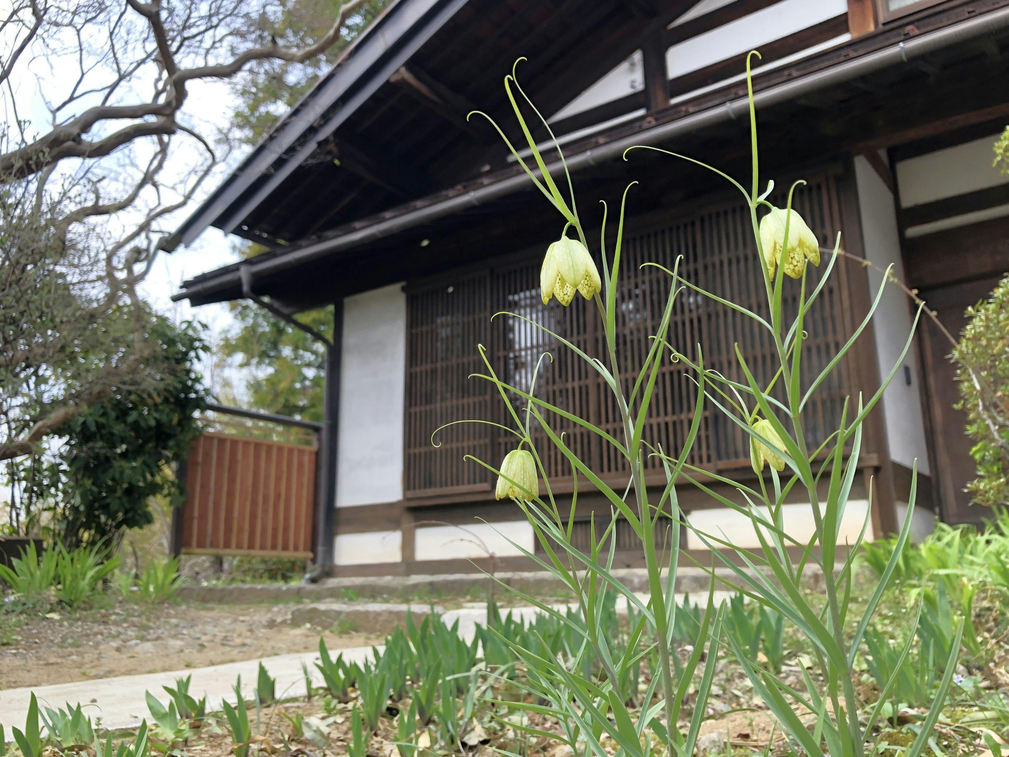 Satoyama villa DEN