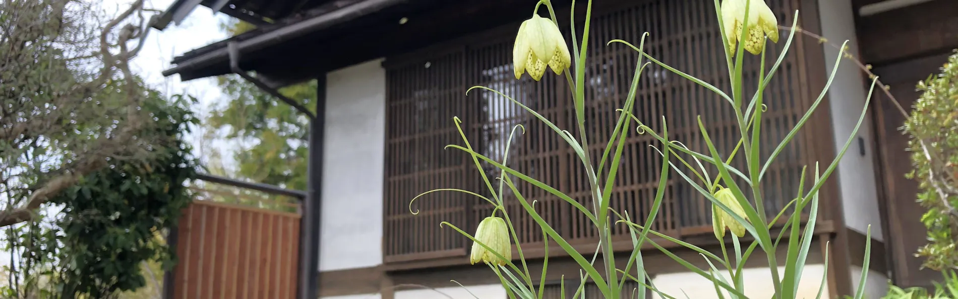 Satoyama villa DEN