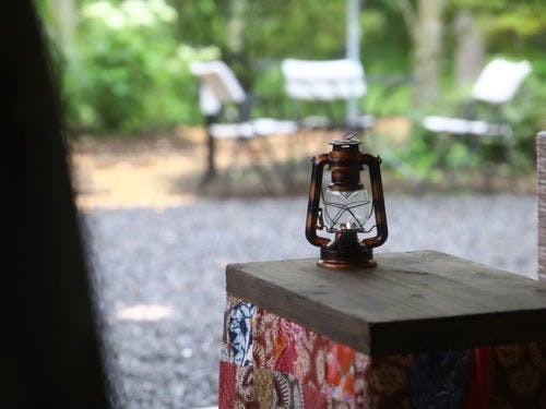 テラスからの森の眺め