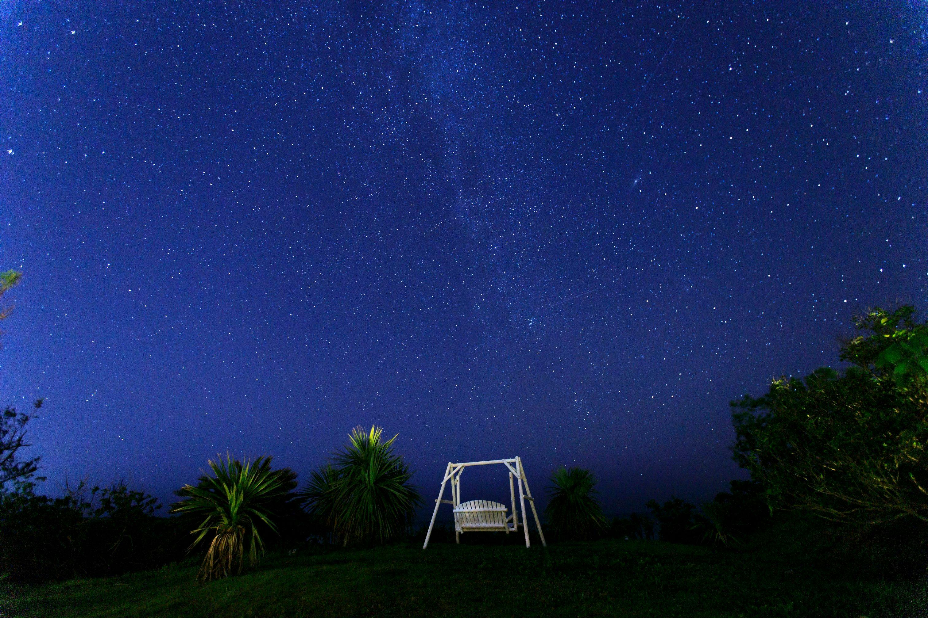 ガーデン（星空）