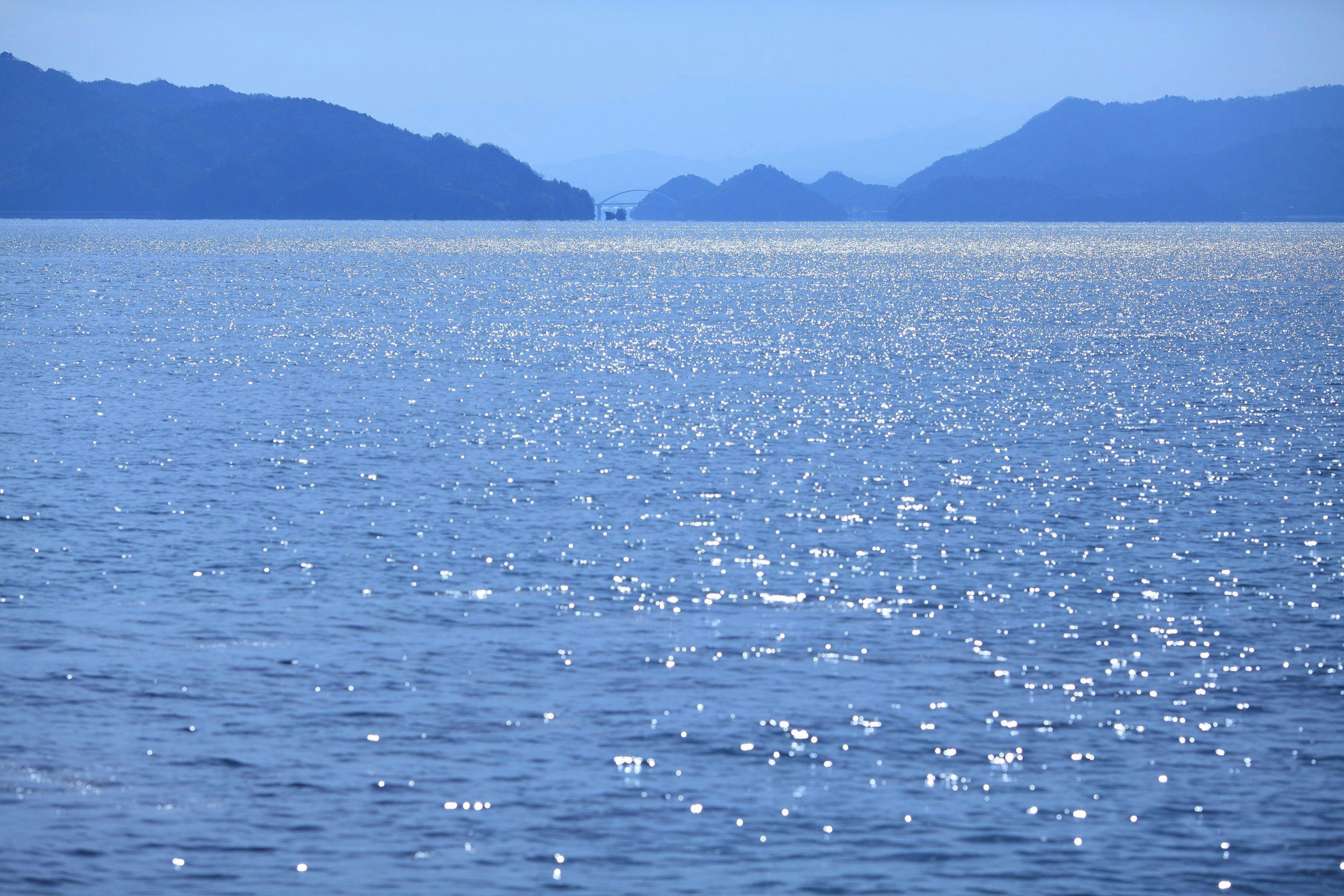ダイアリー大芝島