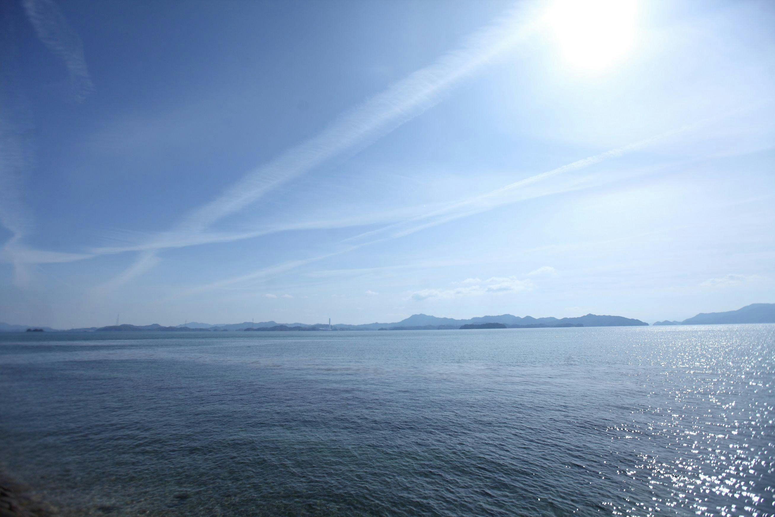 ダイアリー大芝島