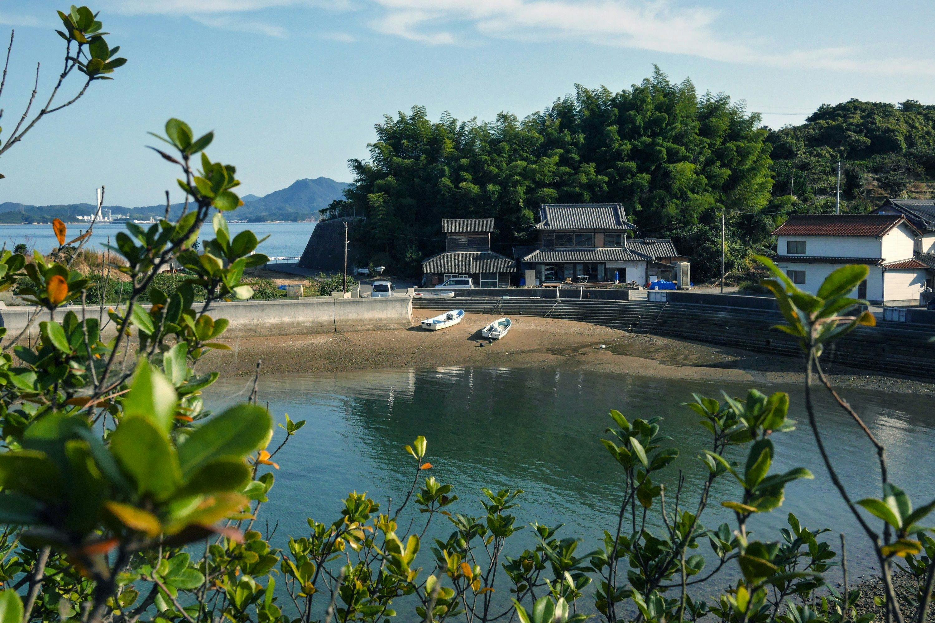 ダイアリー大芝島