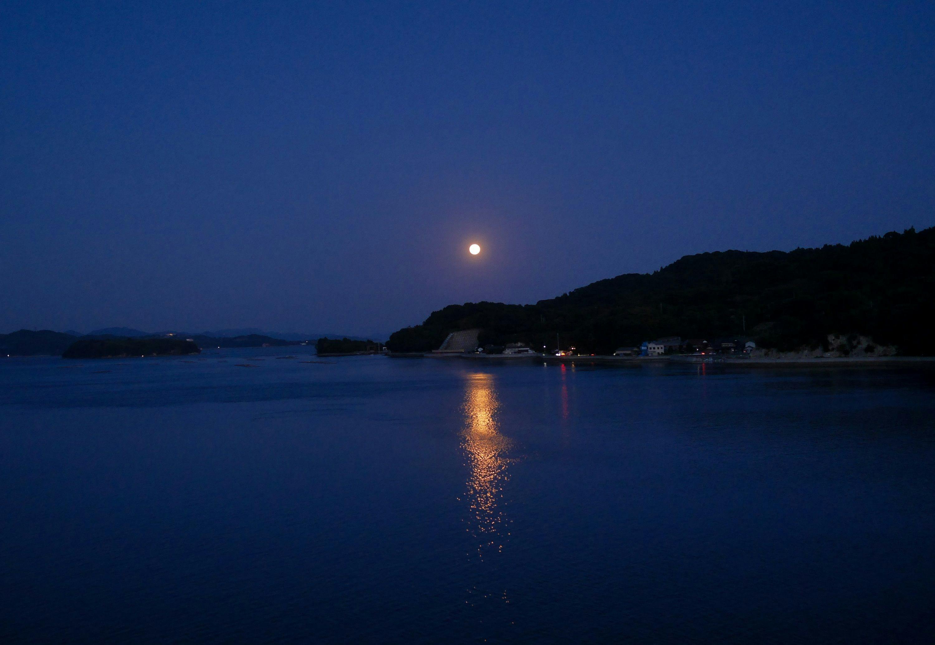 ダイアリー大芝島