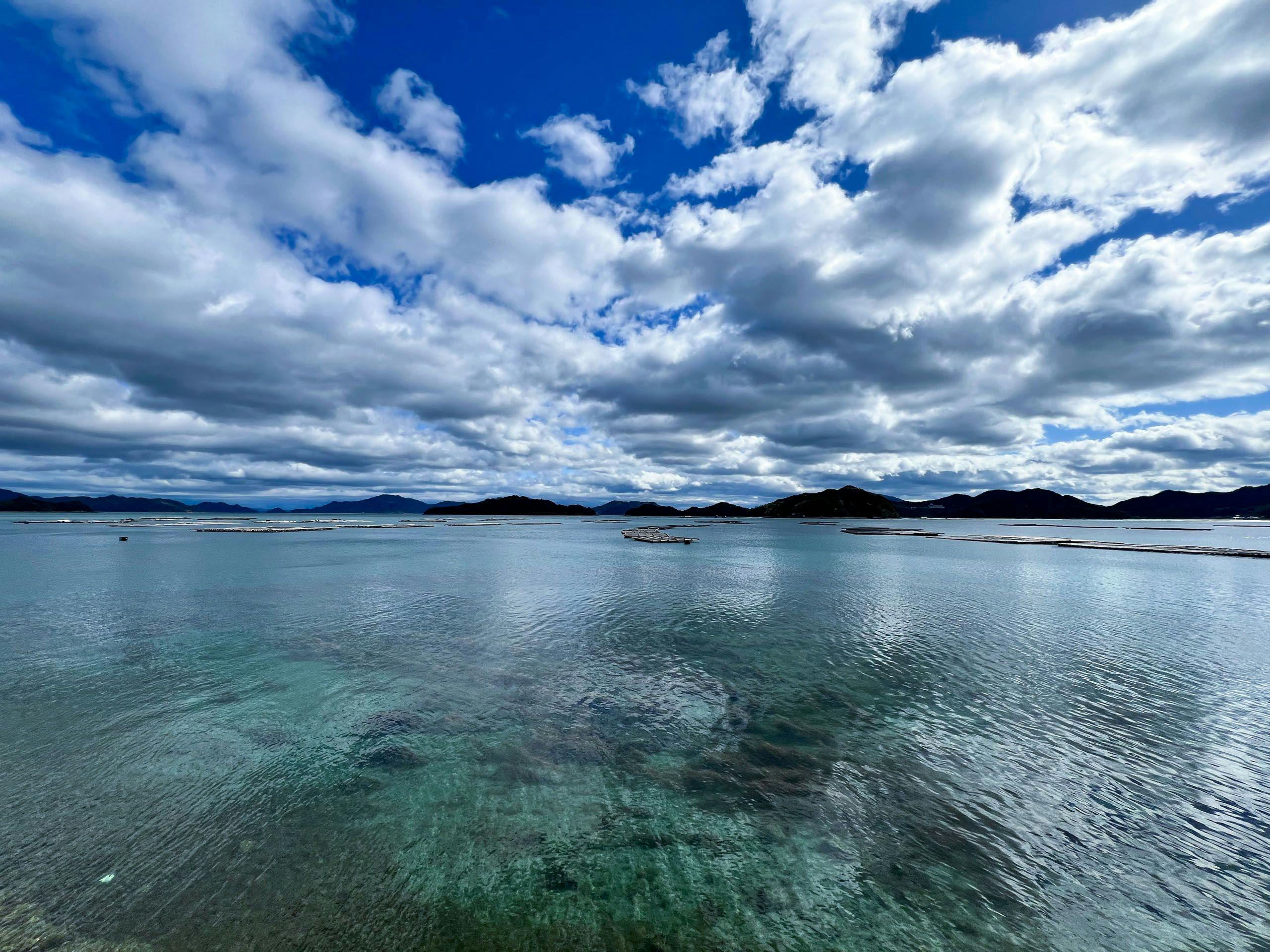ダイアリー大芝島