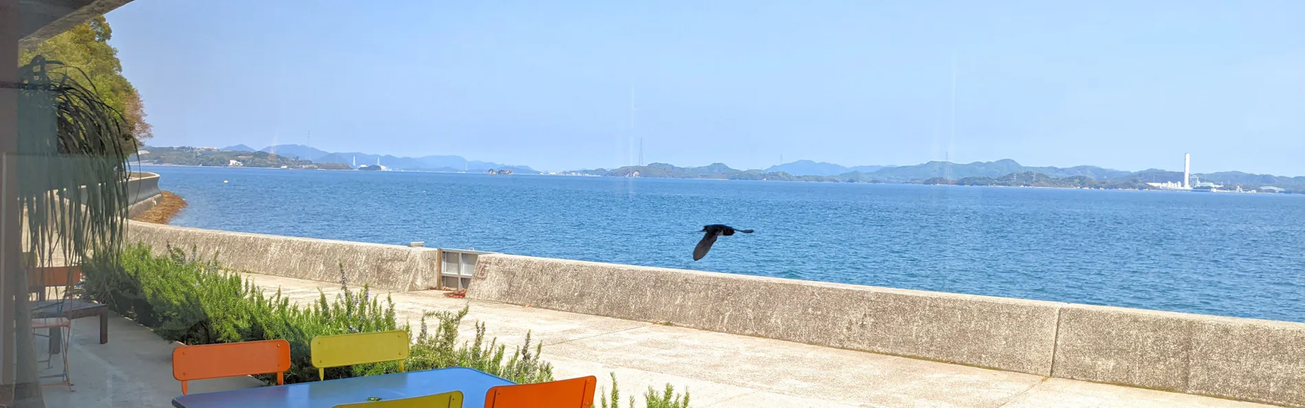 ダイアリー大芝島