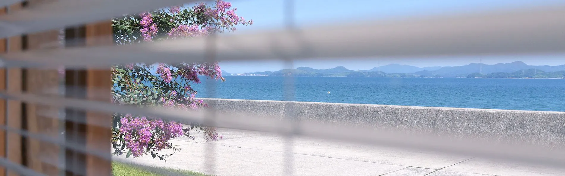 ダイアリー大芝島
