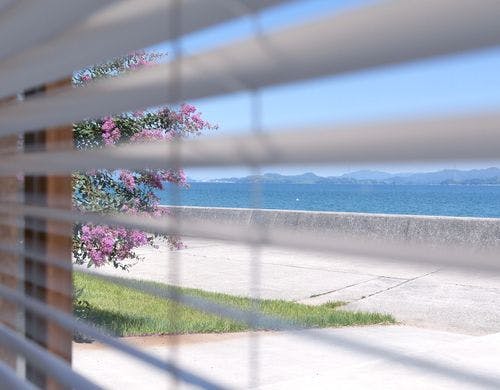 ダイニングルームからの眺め