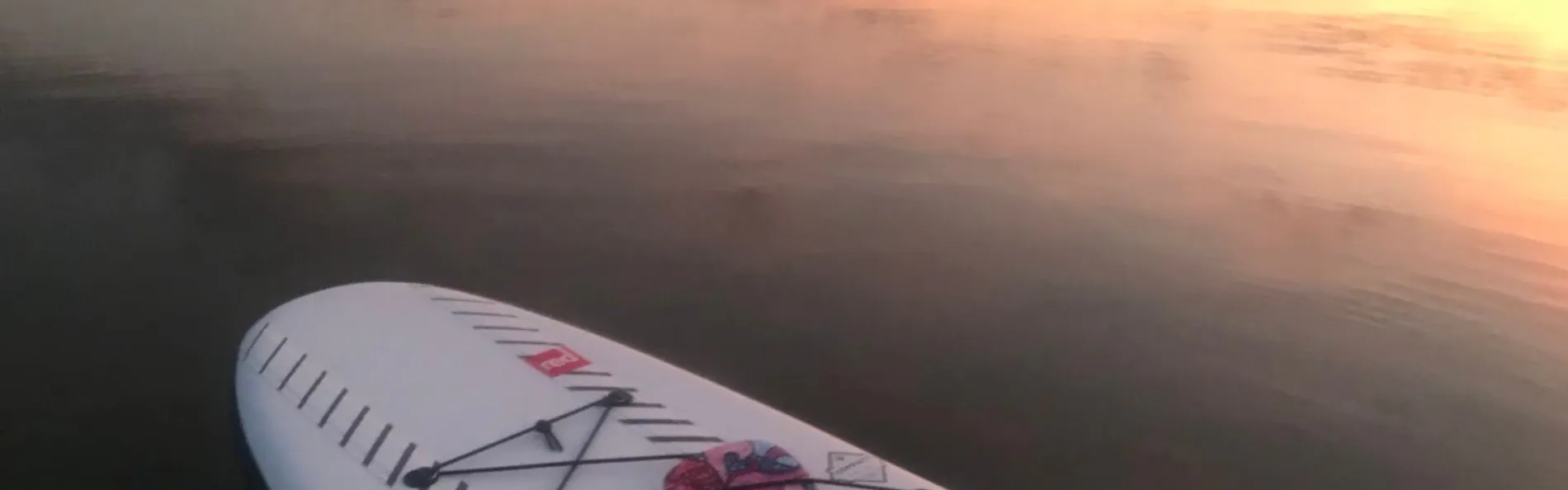 ダイアリー大芝島