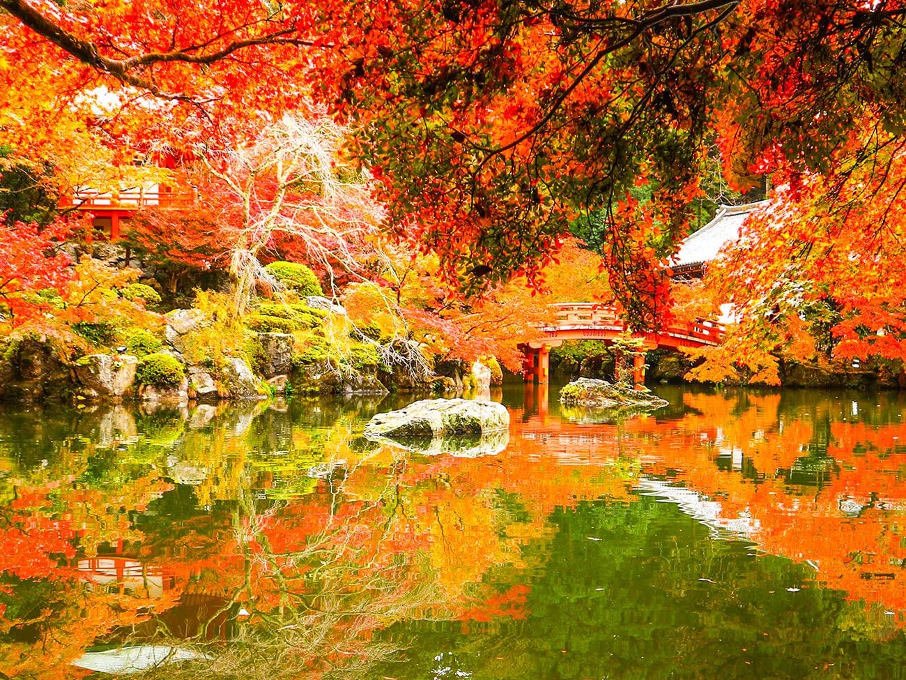 重要文化財を蔵する醍醐寺(だいごじ)の秋