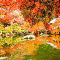 重要文化財を蔵する醍醐寺(だいごじ)の秋