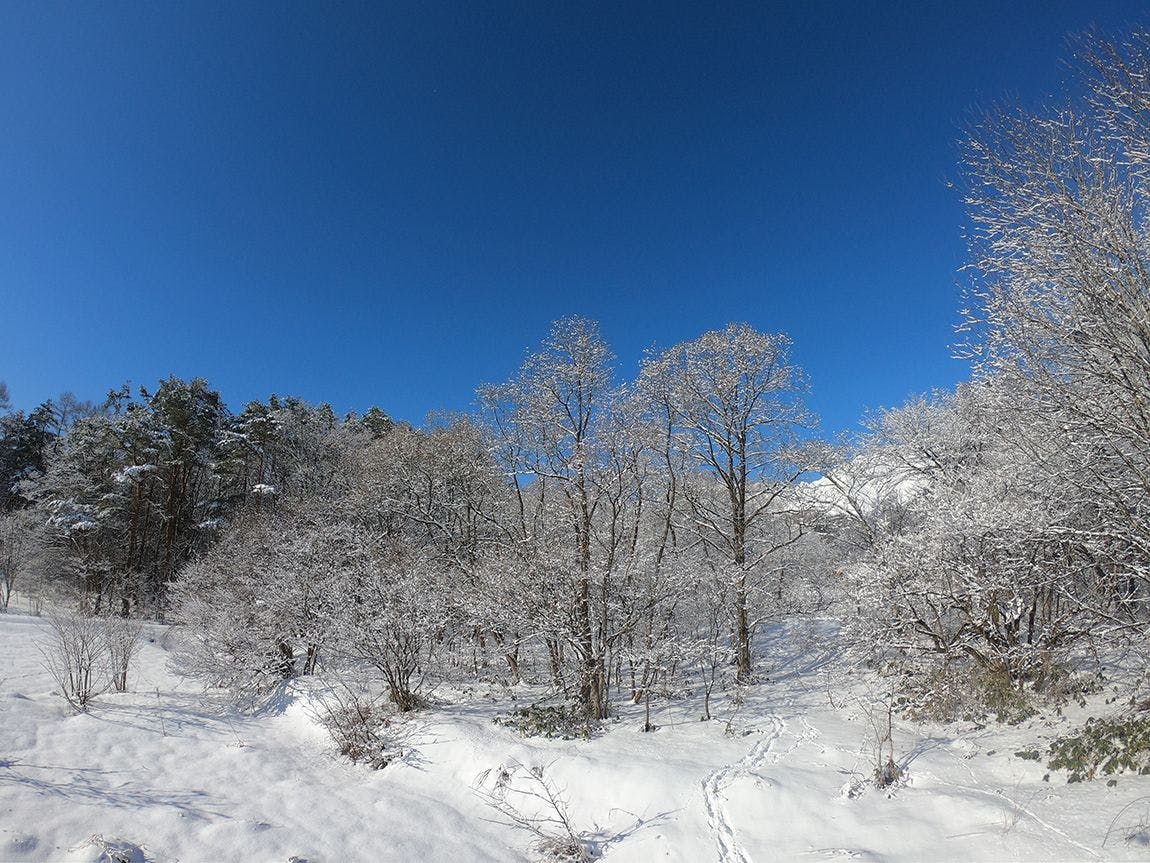 HAKUBA HOKUJO