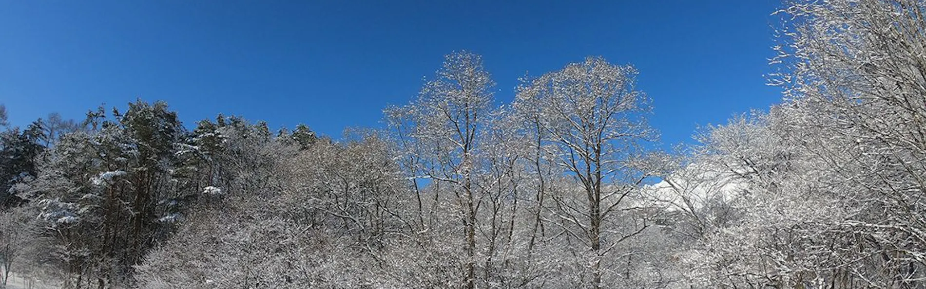 HAKUBA HOKUJO
