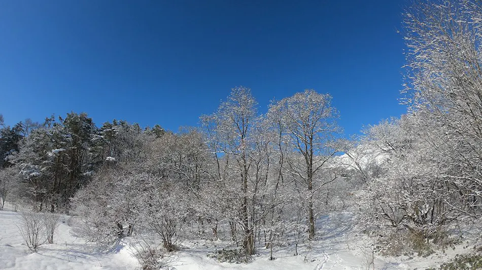 HAKUBA HOKUJO