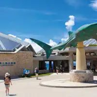 【พิพิธภัณฑ์สัตว์น้ำชูราอุมิ】ขับรถจากที่พักประมาณ 6 นาที