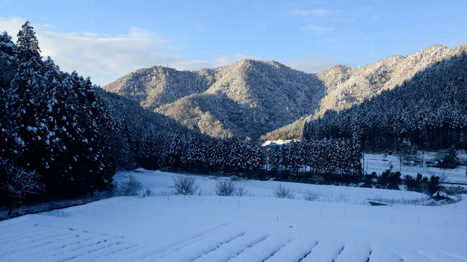 MIYAMA STAY
