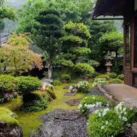お座敷の縁側から見える日本庭園
