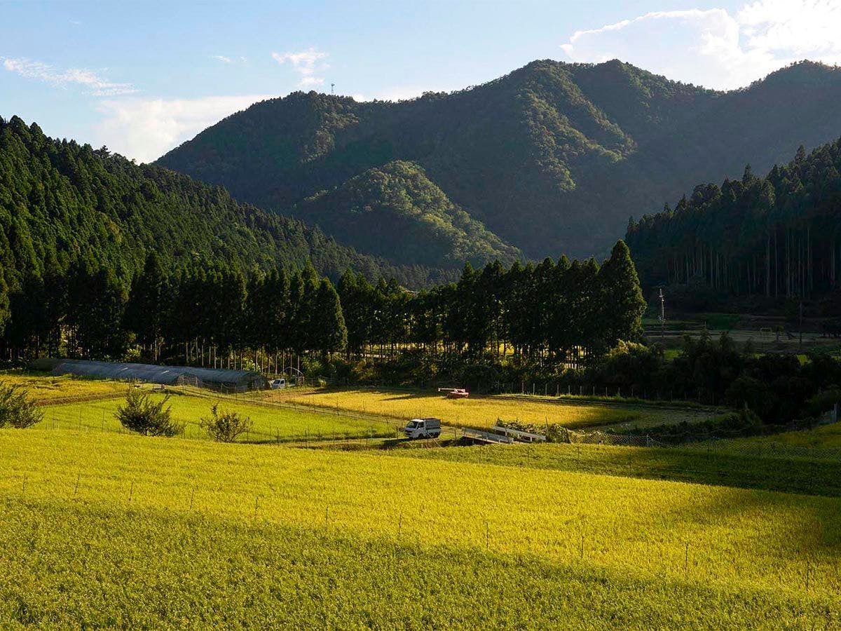 MIYAMA STAY（美山ステイ）