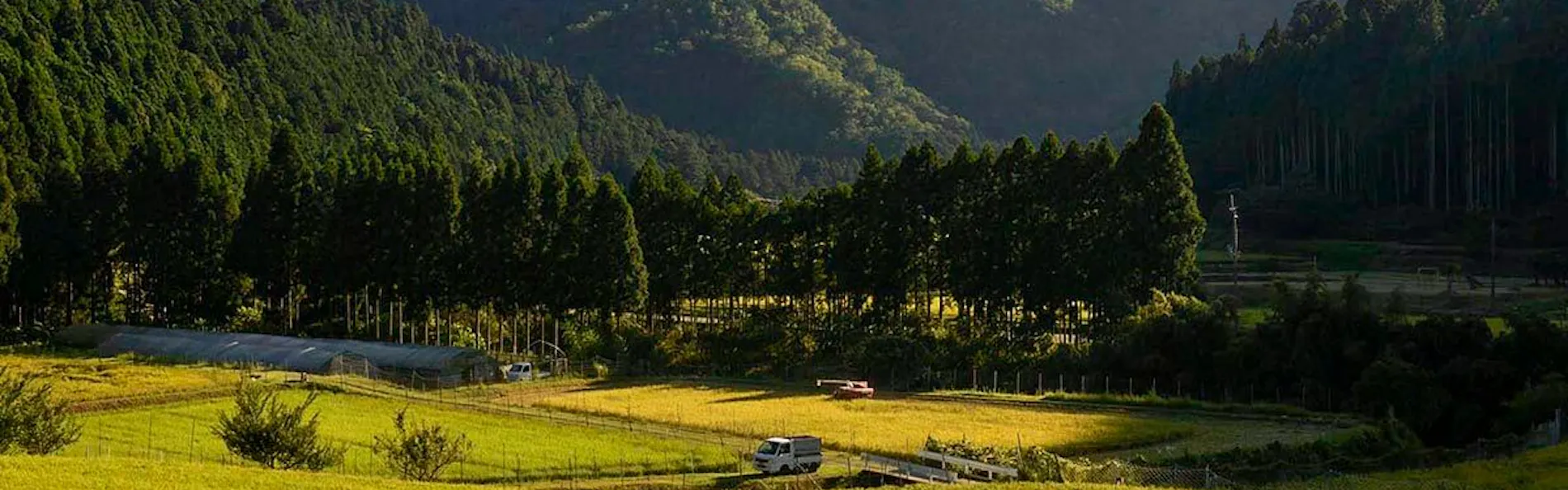 MIYAMA STAY(美山ステイ)