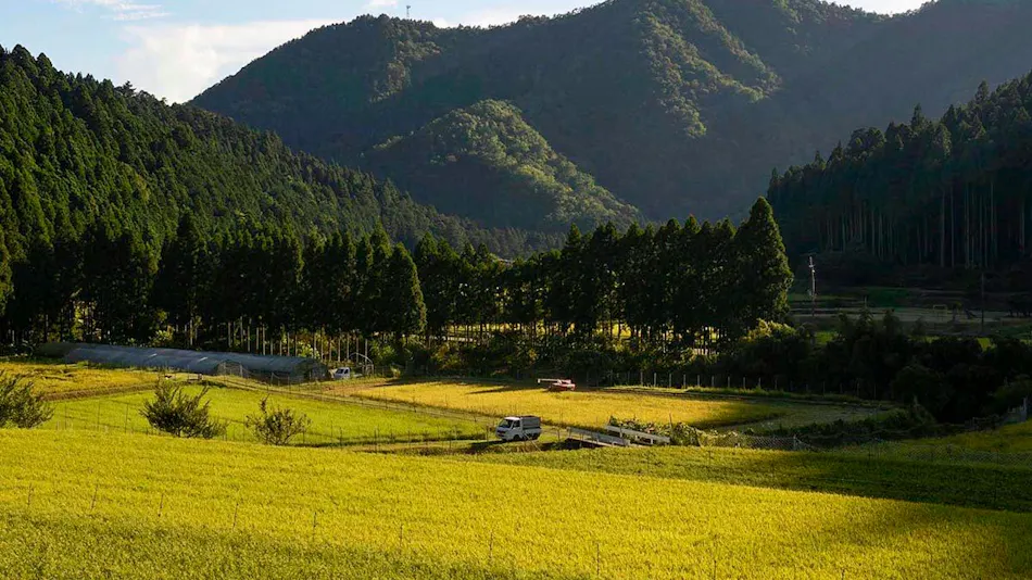 MIYAMA STAY