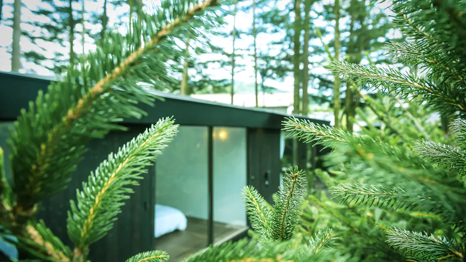 Forest Villa