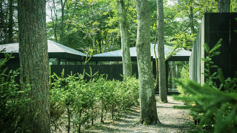 Forest Villa