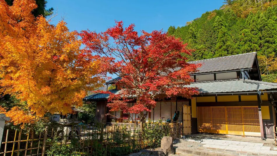 Miyama Terrace