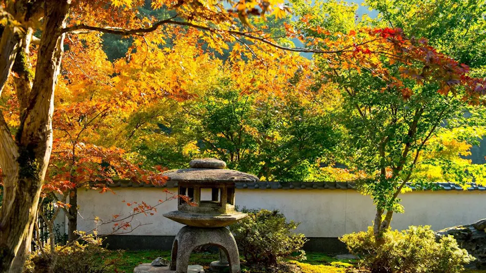 Miyama Terrace