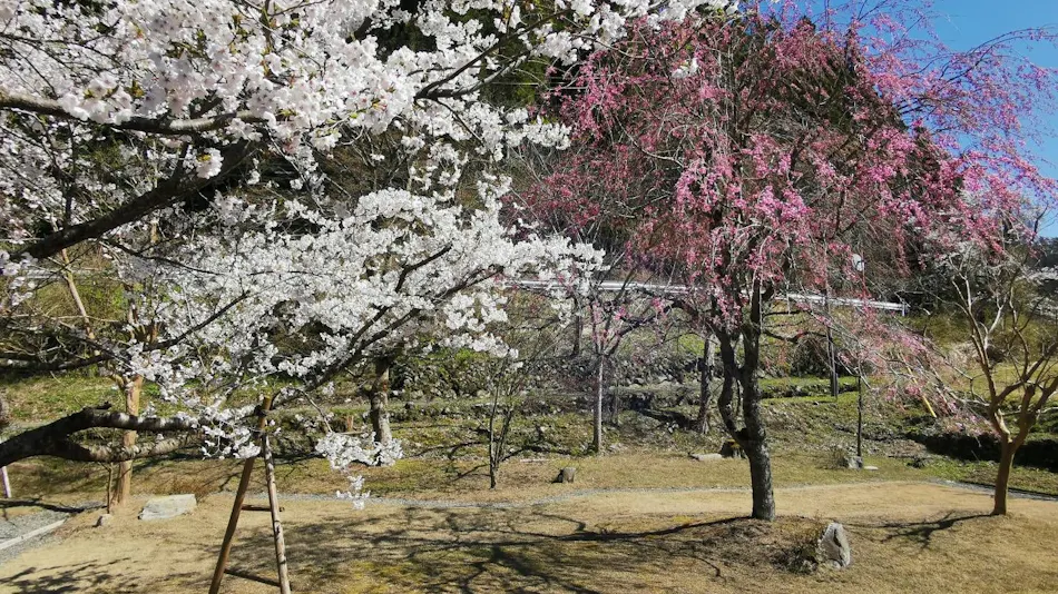 Miyama Terrace