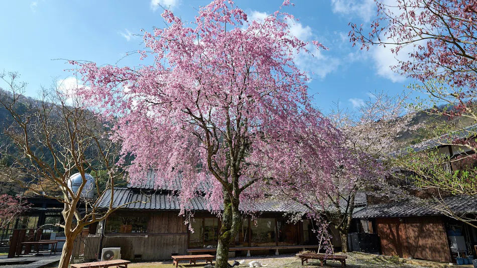Miyama Terrace