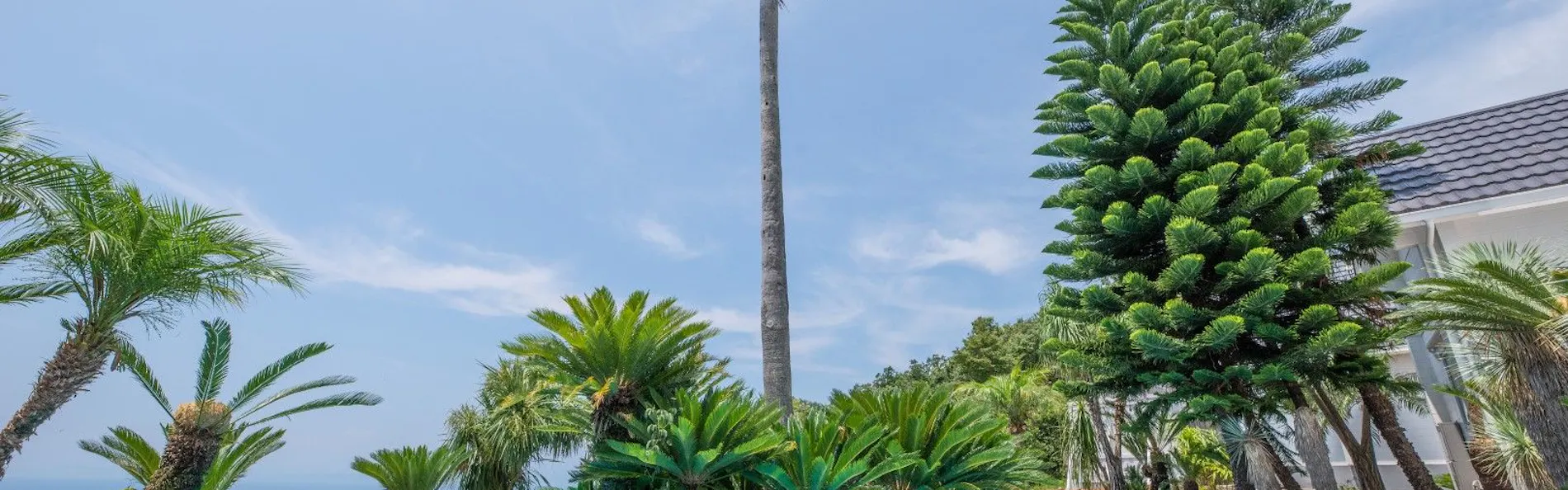VACATION VILLA&GLAMPING BLUE EDEN