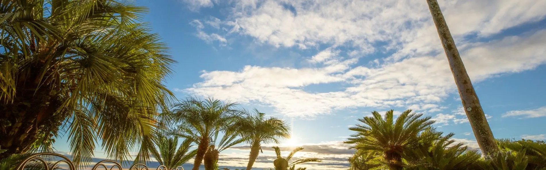 VACATION VILLA&GLAMPING BLUE EDEN