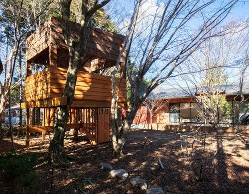 SHIRO SUITE ツリーハウス