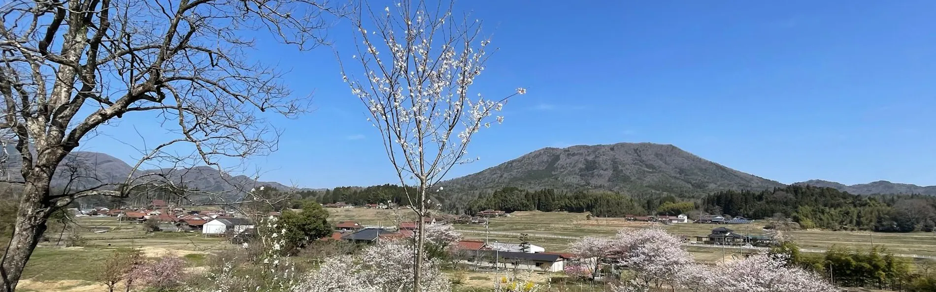 hitaru 石橋邸