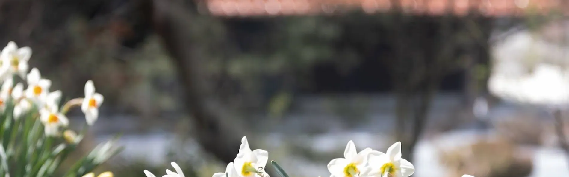 hitaru 石橋邸
