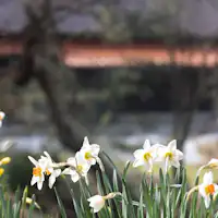 春の外観