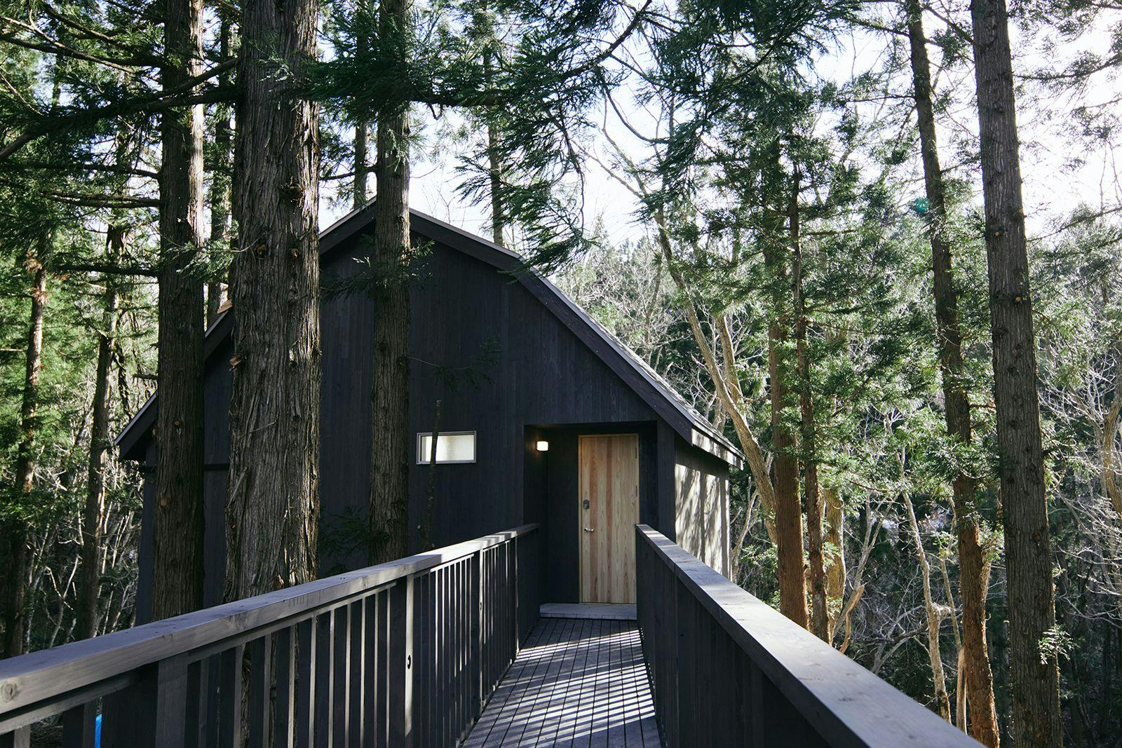 ECHO