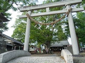 海野宿一棟貸し宿　上州屋