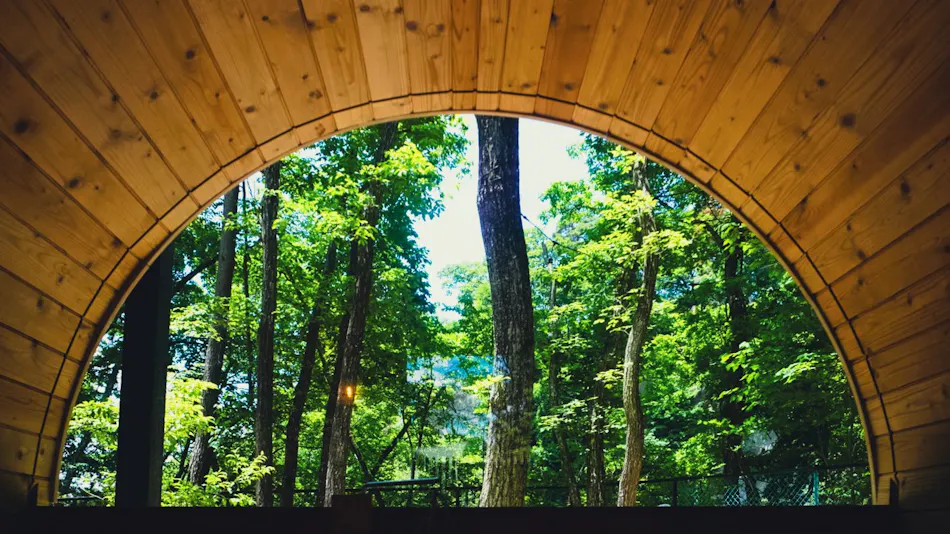 SAUNA FOREST CABIN Karuizawa Miyota Villa