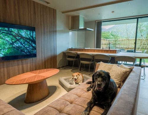 リビングダイニング（D）