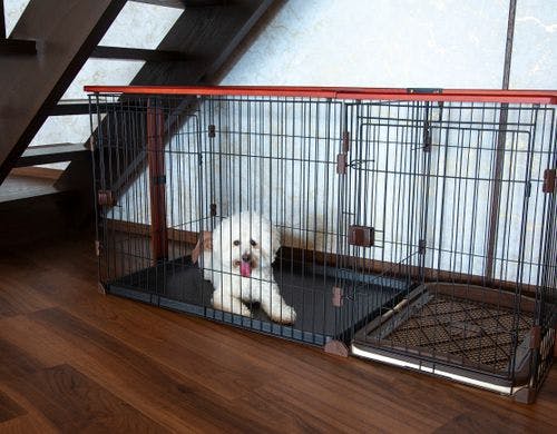 1階にゲージをご用意